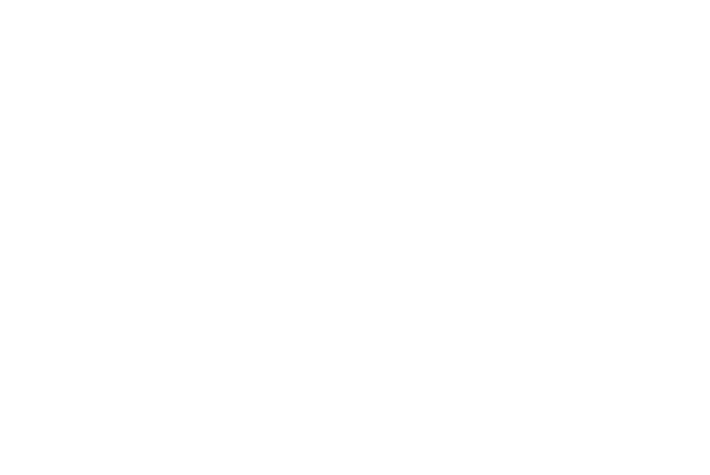 Zodiac Rocket