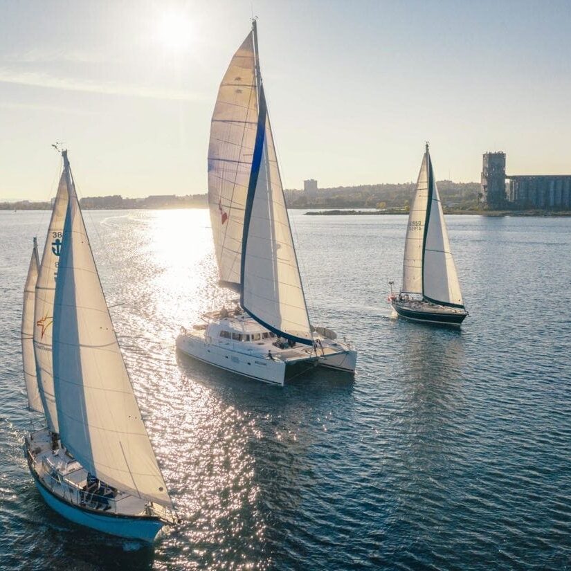 fleet from the left